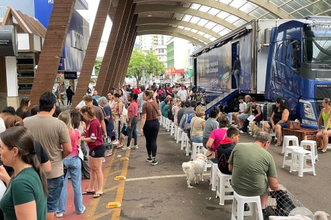Mutirão itinerante encerra semana com marca histórica de castrações em Concórdia
